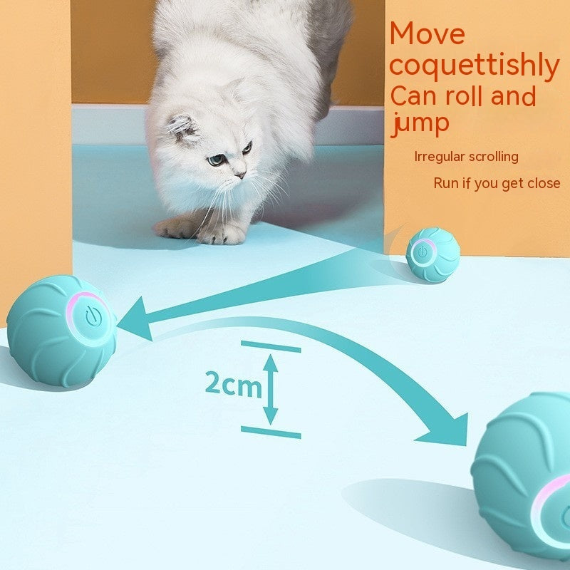 Interactive USB Rolling Ball Toy for Cats