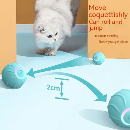 Interactive USB Rolling Ball Toy for Cats