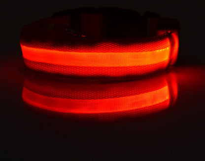 Adjustable LED Glow Collar - Night Safety for Pets