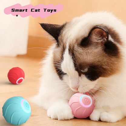 Interactive USB Rolling Ball Toy for Cats