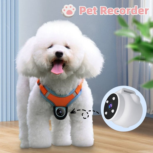 360° Motion Camera Collar for Dogs & Cats